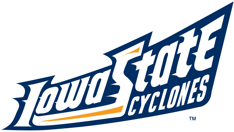 Iowa State Cyclones 1995-2007 Wordmark Logo t shirts DIY iron ons v7